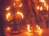 Virginie-Felipe aux ailes de flammes, Nagaryte, Souvigny 2004 - l:100, h:73