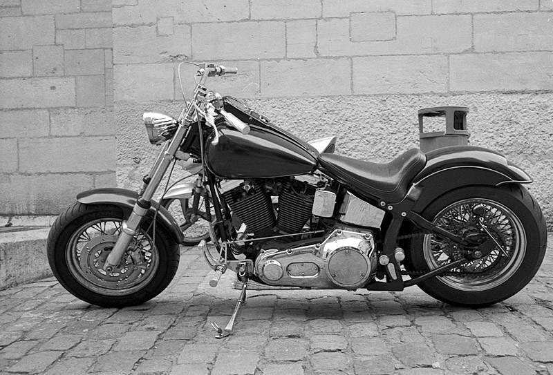 Harley Davidson Softail - l:800, h:543, 166987, JPEG