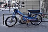 « Mobylette » Peugeot Motobécane 101 #275 - w:100, h:66, 10010, JPEG