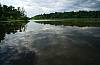 Etang de la Dombes, mai 1993