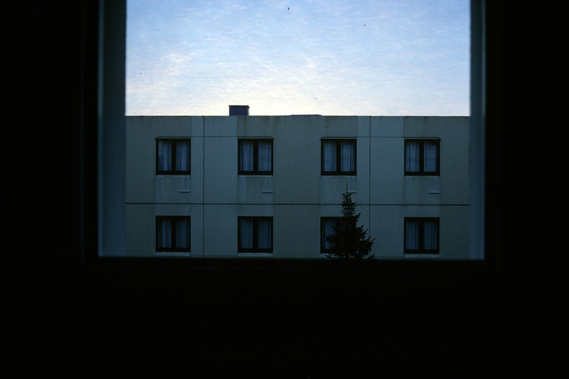 D03591.jpg