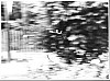 Tour de France 1991 - w:100, h:74, 5071, JPEG