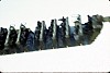 Vogue - w:100, h:67, 3453, JPEG