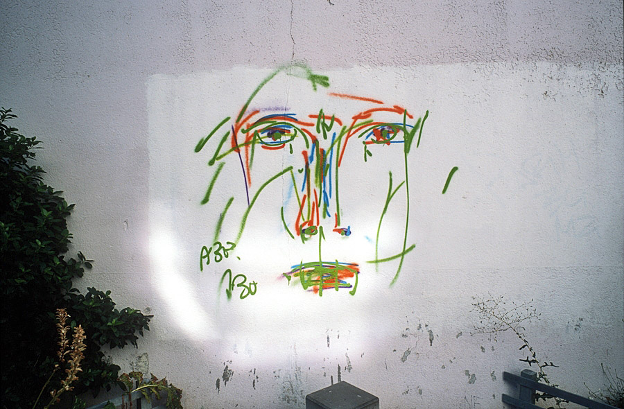 Rue Louis Guérin, 2015 - w:900, h:590, 205799, JPEG