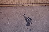 Graffit - w:100, h:66, 3233, JPEG