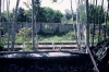 d03637 - w:100, h:66, 11162, JPEG