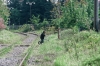 d03641 - w:100, h:66, 11061, JPEG