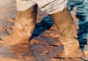 Les Bottes - w:100, h:69, 11708, JPEG