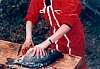 Carpe frite (12) - w:100, h:69, 12755, JPEG