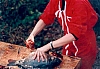 Carpe frite (32) - w:100, h:69, 12693, JPEG