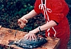 Carpe frite (42) - w:100, h:69, 12868, JPEG