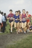 Martine Laurent (522), Rosario Murcia, Agnès Sergent (521), Cross de Dijon 1985, #916 - l:66, h:100, 10292, JPEG