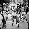 Les Allemands et Denis #15 - w:100, h:100, 10659, JPEG