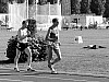 Martial Fesselier (3) et Dominique Guebey (7), Tours 14 aout 1988 #16 - w:100, h:75, 8275, JPEG