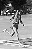 Jacques Fellice (4x400) - l:66, h:100, 8300, JPEG