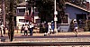 Dominique Guebey, Los Angeles 1984 (#09) - l:100, h:52, 4746, JPEG