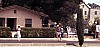 Dominique Guebey, Los Angeles 1984 (#36) - l:100, h:47, 3952, JPEG