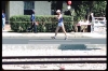 Dominique Guebey, #696 - l:100, h:66, 11230, JPEG