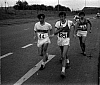 50km, Weidner, Knütter… - l:100, h:85, 12063, JPEG