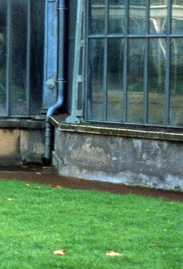 l:599, h:879, 183534, JPEG