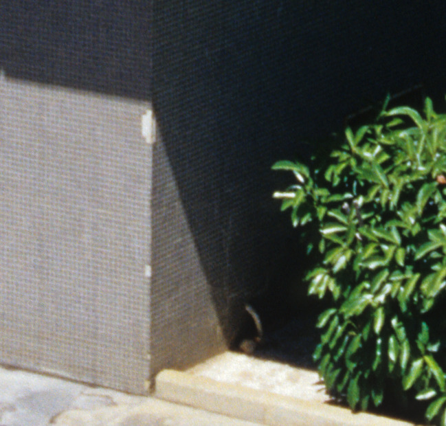 Konica Hexar AF l:649, h:620 Konica Hexar AF l:649, h:620