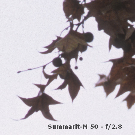 l:449, h:449, 64808, JPEG
