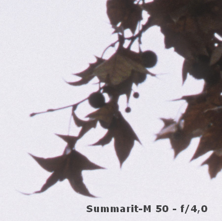 l:451, h:449, 61519, JPEG