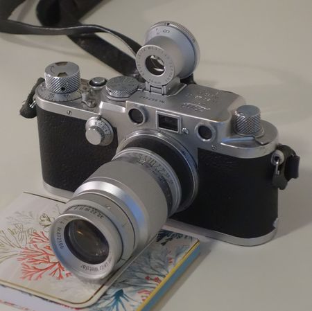 Leitz SGVOO sur Leica iiiF et Elmar 9cm w:450, h:449, 59401, JPEG