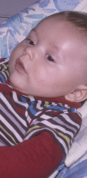 l:350, h:713, 195920, JPEG