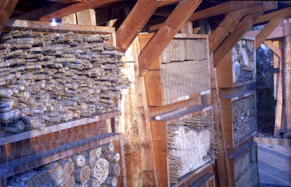 l:600, h:385, 160341, JPEG l:600, h:385, 160341, JPEG