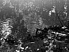 detail l:100, h:75, 8366, JPEG detail l:100, h:75, 8366, JPEG