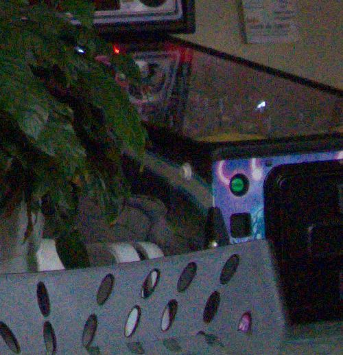 Crop l:500, h:517, 63852, JPEG Crop l:500, h:517, 63852, JPEG