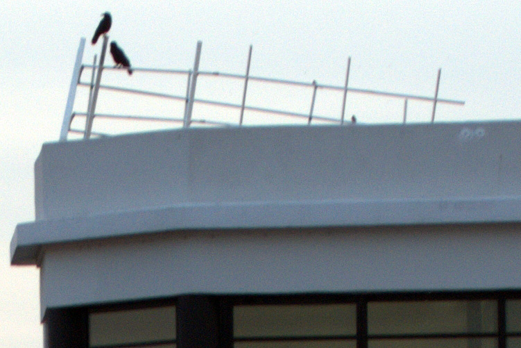 l:751, h:501, 159712, JPEG l:751, h:501, 159712, JPEG