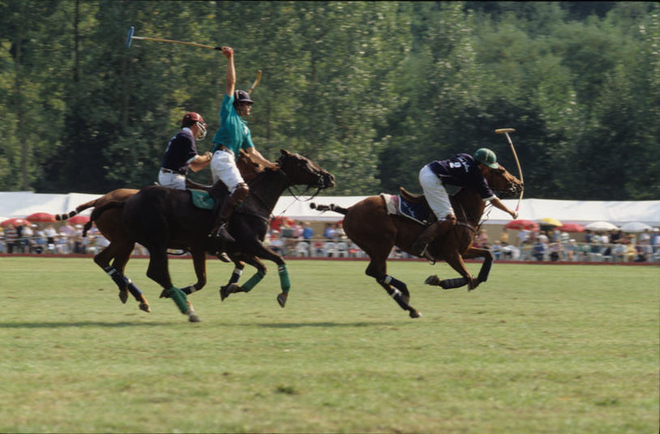 Paddock polo l:660, h:434 Paddock polo l:660, h:434