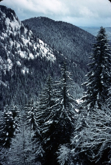 l:471, h:700 l:471, h:700