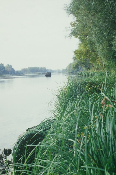 La Loire a Nevers, objectif 50mm l:400, h:600 La Loire a Nevers, objectif 50mm l:400, h:600