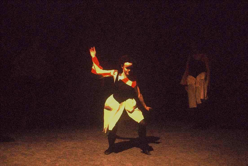 Danse, INSA Lyon, objectif 50mm l:800, h:535 Danse, INSA Lyon, objectif 50mm l:800, h:535